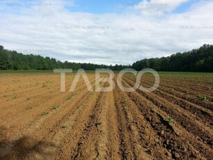 Teren extravilan agricol 12.000 mp utilitati Pianu de Jos Alba