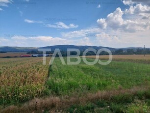 Teren extravilan agricol 6634 mp utilitati acces auto Santimbru Alba