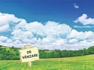 Teren extravilan de vanzare 25465 mp la intrare in Ocna Sibiului