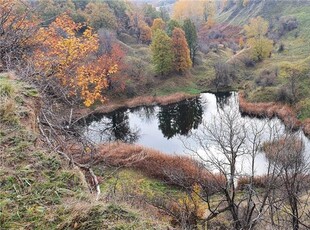 Balta lui vintila de la mehedin?i