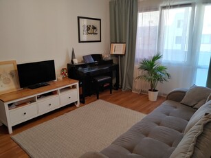 Apartament 2 camere Parc IOR Nicolae Grigorescu 8/10