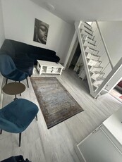 CASA 3 CAMERE, DEMISOL 20MP, FINISAJE MODERNE, PET-FRIENDLY, CENTRALA