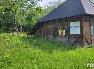 Casa Traditionala in Bucovina! Zona Turistica - Cacica!