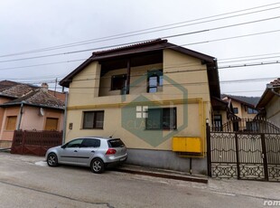 Casa/Vila - Triplex cu 20 camere de vanzare in Carpinis, Jud.Hunedoara