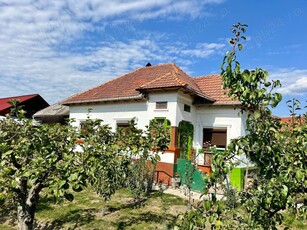 Central Domnesti, Arges, Teren 433mp cu dubla deschidere + Casa, str. Fratii Andreias, Proprietar