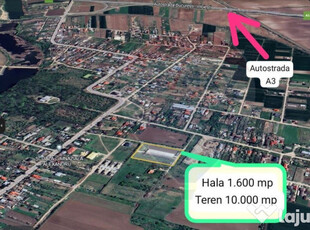 Hala 1.762 mp + Teren 10.000 mp de vanzare Caciulati/Ilfov