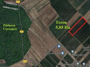 Săbăreni, teren intravilan construibil 5,85 ha, între 2 păduri