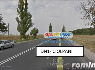 Teren la DN1 Ciolpani 36 Ha utilitati Intravilan