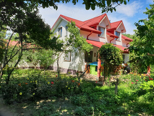 Vand casa de poveste in Valea Parului Buzau