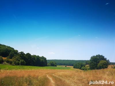 Schimb,închiriez 12.4 ha teren agricol comasat in jud. Sibiu