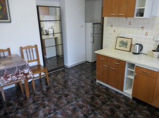 Apartament 1 cameră spațios, încălzire proprie, central - Podgoria