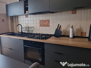 Apartament 2 camere - Banu Manta -Victoriei, Kiseleff