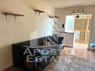 Apartament 2 camere in zona Lipovei