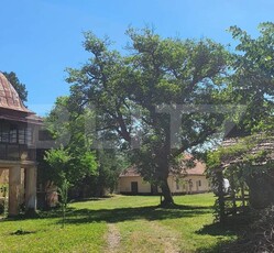 De vanzare conac boieresc, anul 1880, 3 ha teren, 1200 mp construiti, jud. Arad