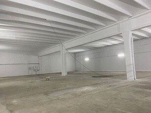 Hala industrială open space 849 mp Acces TIR, curent 4000 kW, înălțime 6 m, Calea Aradului