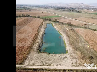 Teren cu balta piscicola, zona Coslariu