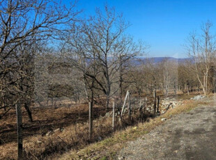 Teren de 30 de ari, Dumitra, 5km de Bistrita