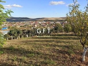 Teren intravilan 730 mp-livada-vedere panoramica-Valea Sigmirului