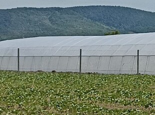 Vând fermă certificată ecologic