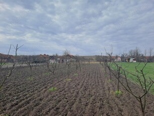 Vând teren situat în comuna Brestovat județul Timiș