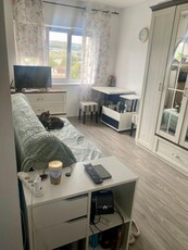 Apartament 1 camera, mobilat, zona Calea Baciului