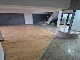 Apartament duplex Bd Unirii, 160mp utili, 3 terase, renovat premium