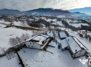 Trei Case de vacanță | Pensiune | Bran-Sohodol | 3044 m...