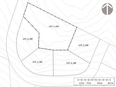 Intravilan alpin 636mp Cocora Ski Resort Padina Pestera Bucegi - Lot 1