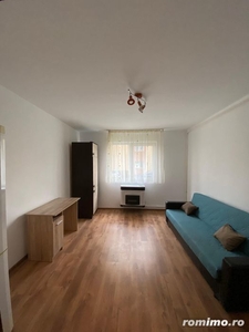 apartament 1 camera in Lipovei , langa posta