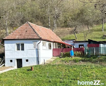 Cota de 1/2 din casa si teren com. Valea Lunga