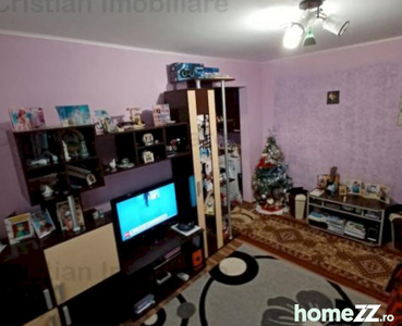 MOBILAT SI UTILAT Apartament 2cam FRUMOS zona Viziru 3