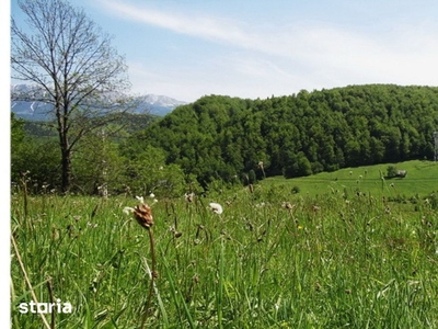 Teren Intravilan - Moeciu De Jos