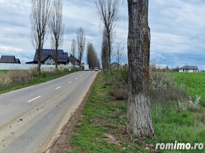 Teren la padure 1000 mp | front la padure 36 ml | Izvorani -Snagov