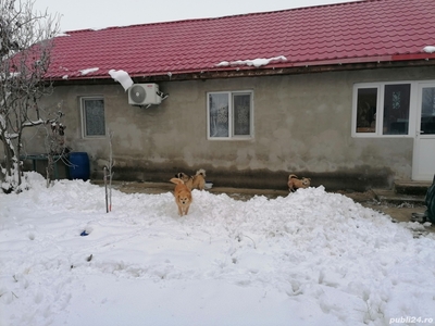 Casă de Vânzare în Periș Ilfov