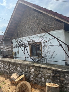 Casa Runcu Gorj Cheile Sohodolului