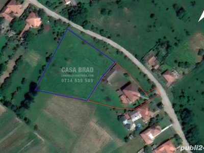 Proprietar vând casă mare cu 1373 mp teren, zonă verde, liniștită, în orașul Brad, jud. HD