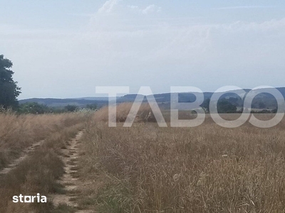 Vila cu 5 camere, 3 bai si toate utilitatile, in zona Margeanului sect