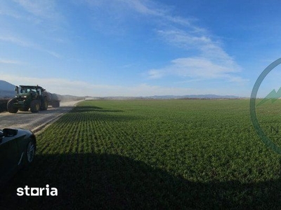 Teren intravilan in Cristian cu deschidere la strada asfaltata