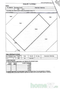 Teren intravilan Domnesti-str Spicului!