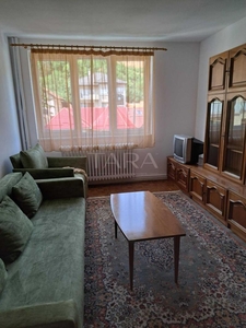 Apartament cu doua camere in centru, zona Parcului Central