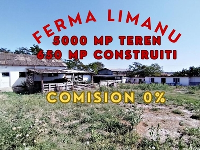 Ferma de vanzare in Limanu