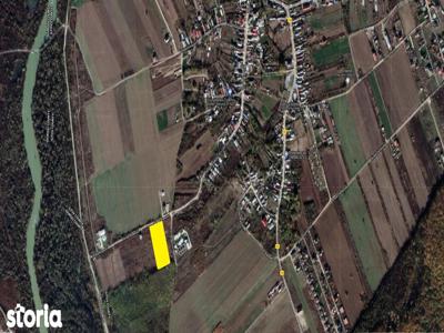 Domnesti, sat Teghes, strada Argesului, suprafata 5000mp, d= 40m