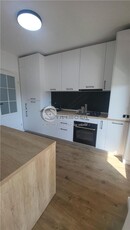 Apartament 1 camera Pacurari - 390 euro