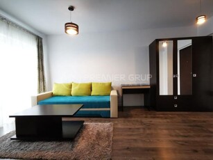 Apartament 1 camera, Tudor-Conest, 40mp