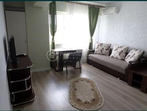 Apartament 1 camera, Tudor-Conest, 40mp