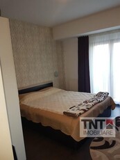 Inchiriere Apartament Pacurari 1 Camere