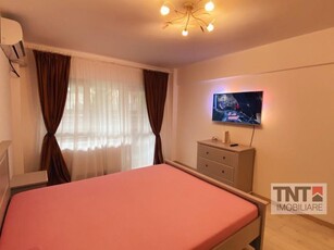 Inchiriere Apartament Popas Pacurari 1 Camere