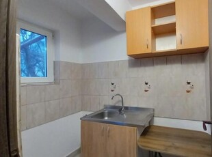 Nicolina apartament 22 mp, 1 camera, decomandat, de inchiriat, Gara Internationala, Cod 156954