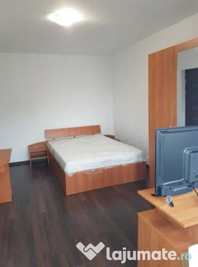 Apartament cu o camera in zona Dambovita