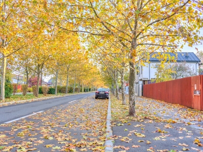 Teren Bucurestii Noi